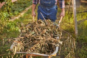The Ultimate Composting Guide: How to Compost for a Better Environment and Garden