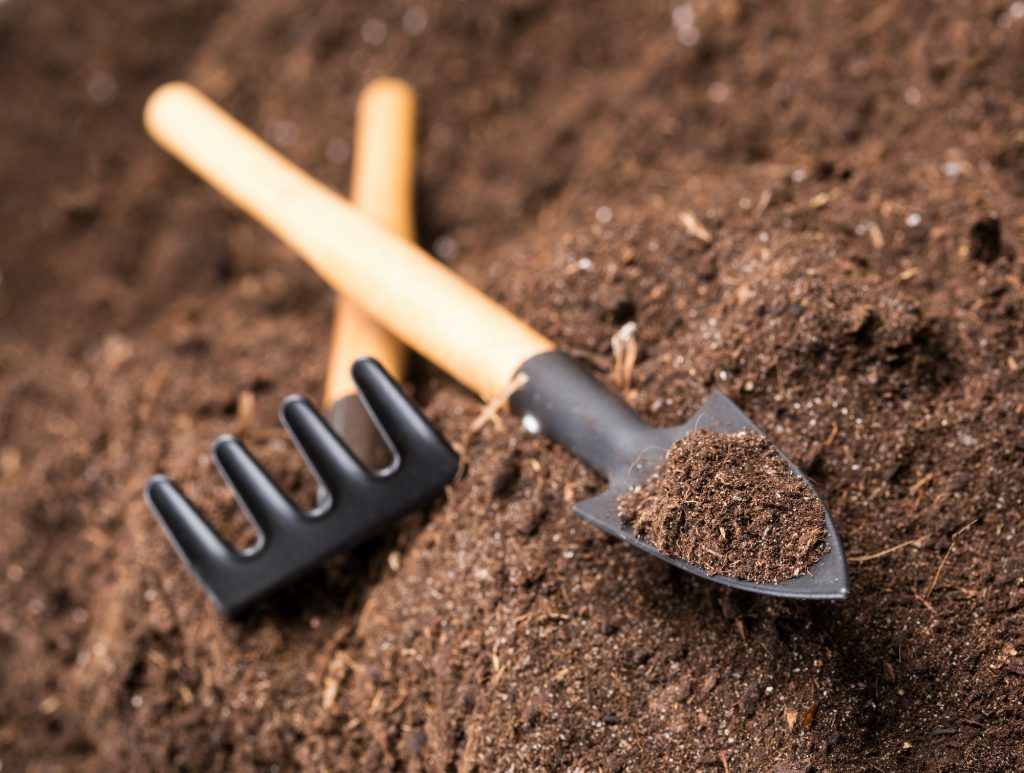 Understanding the Role of Soil Biology in Crop Nutrition