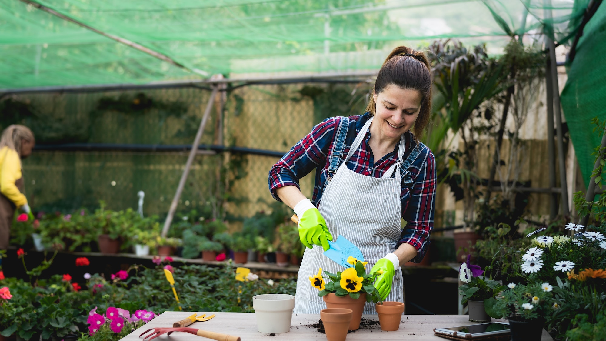 The Joy of Propagation in Gardening