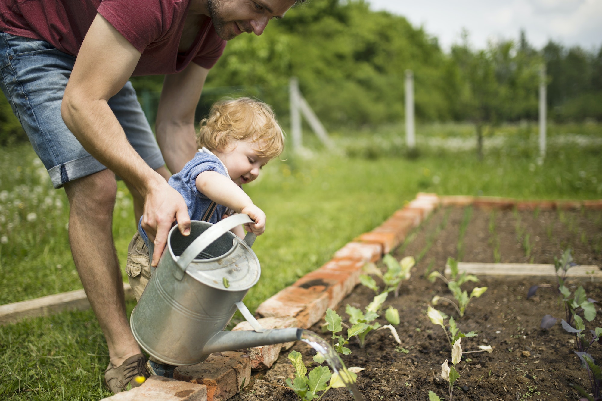 Watering Your Garden: Tips for Conserving Water and Keeping Plants Healthy